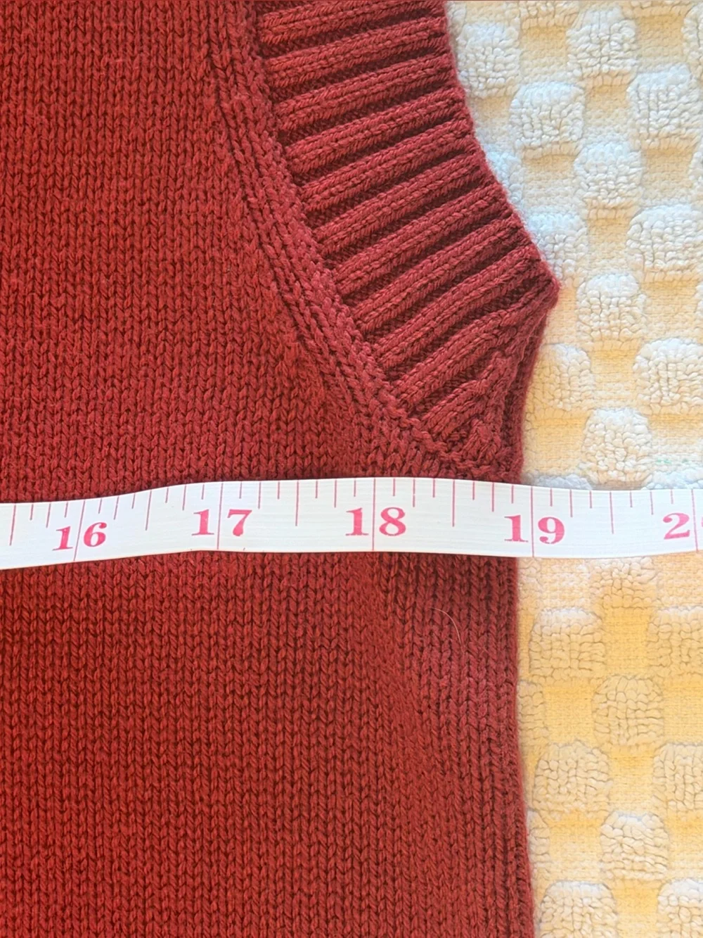 Everlane V-Neck Sleeveless Sweater Vest in Deep Brick Red